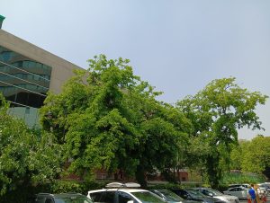 IMG20240424123958