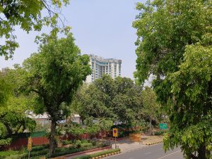 IMG20240424124200