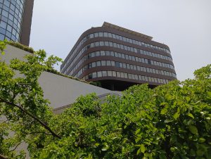 IMG20240424124210