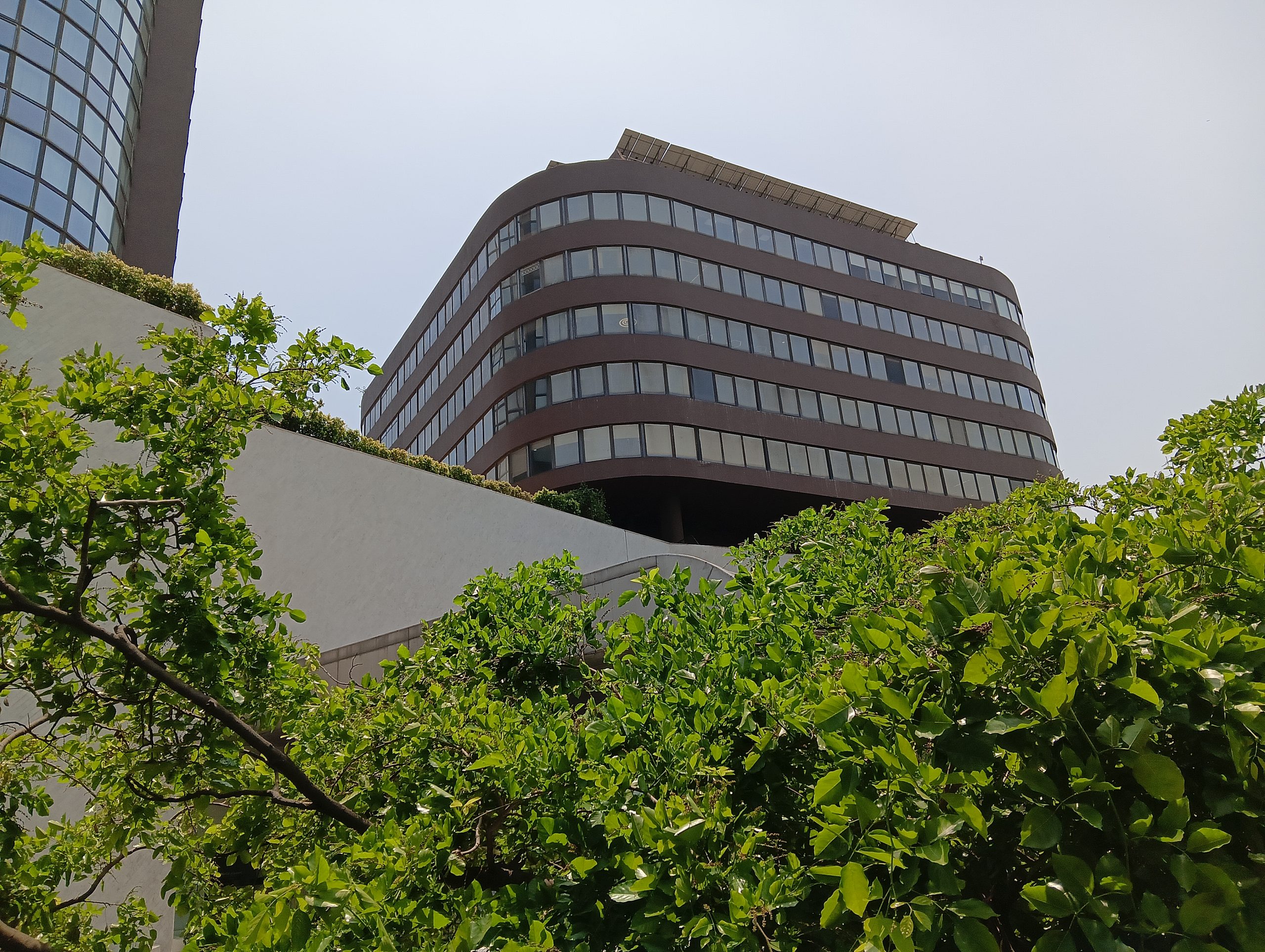 IMG20240424124210