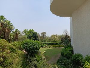 IMG20240424124222