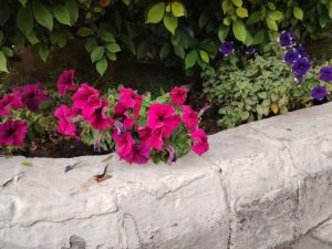 IMG_20240328_173030 (Small)