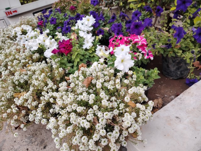IMG_20240328_173041 (Small)
