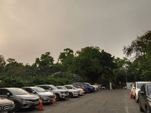 IMG_20240412_173050