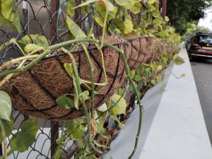 IMG_20240412_173131