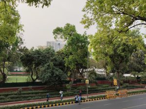 IMG_20240412_173219