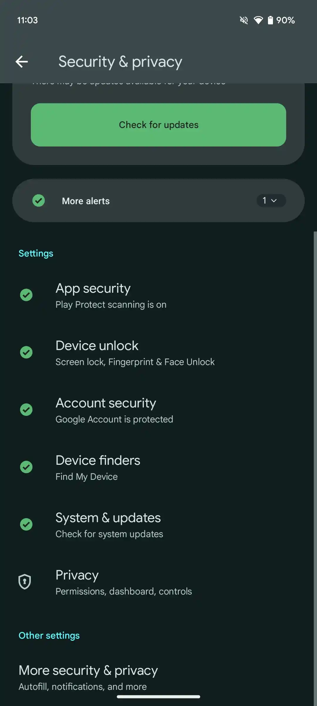 Introduces Private Space for enhanced app security and privacy