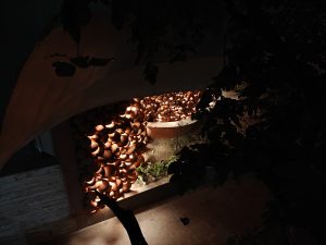 IMG20240521193559