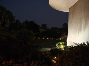 IMG20240521193618