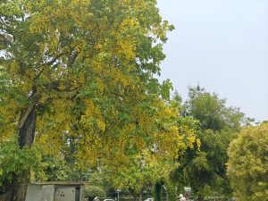 IMG20240522122303
