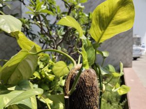 IMG_20240102_080727