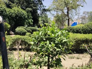 IMG_20240502_120244