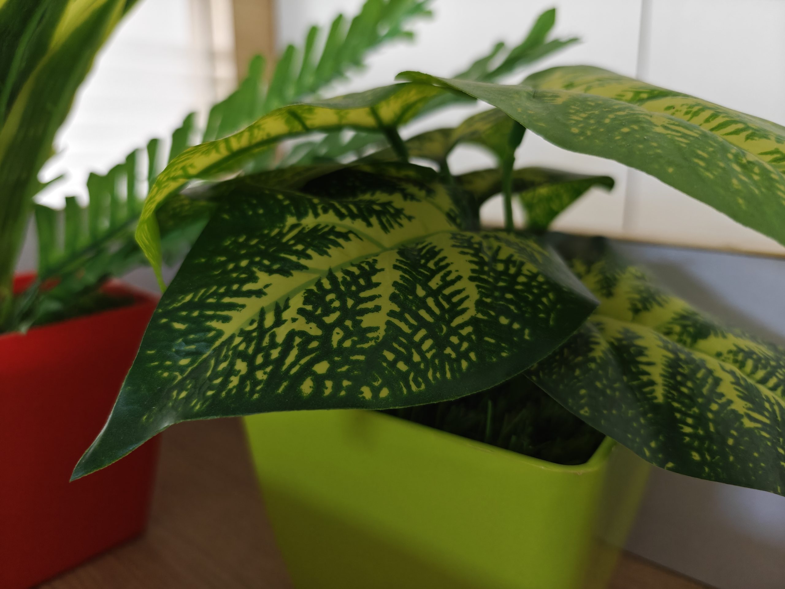 IMG20240101000211