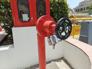 IMG20240101182043