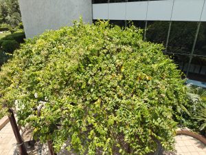 IMG20240101182335