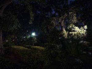 IMG20240626194719