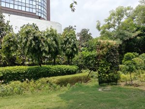 IMG20231231214115