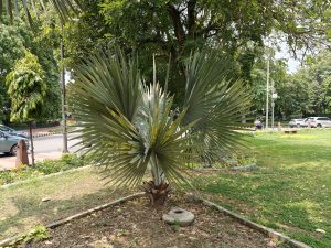 IMG20231231214256