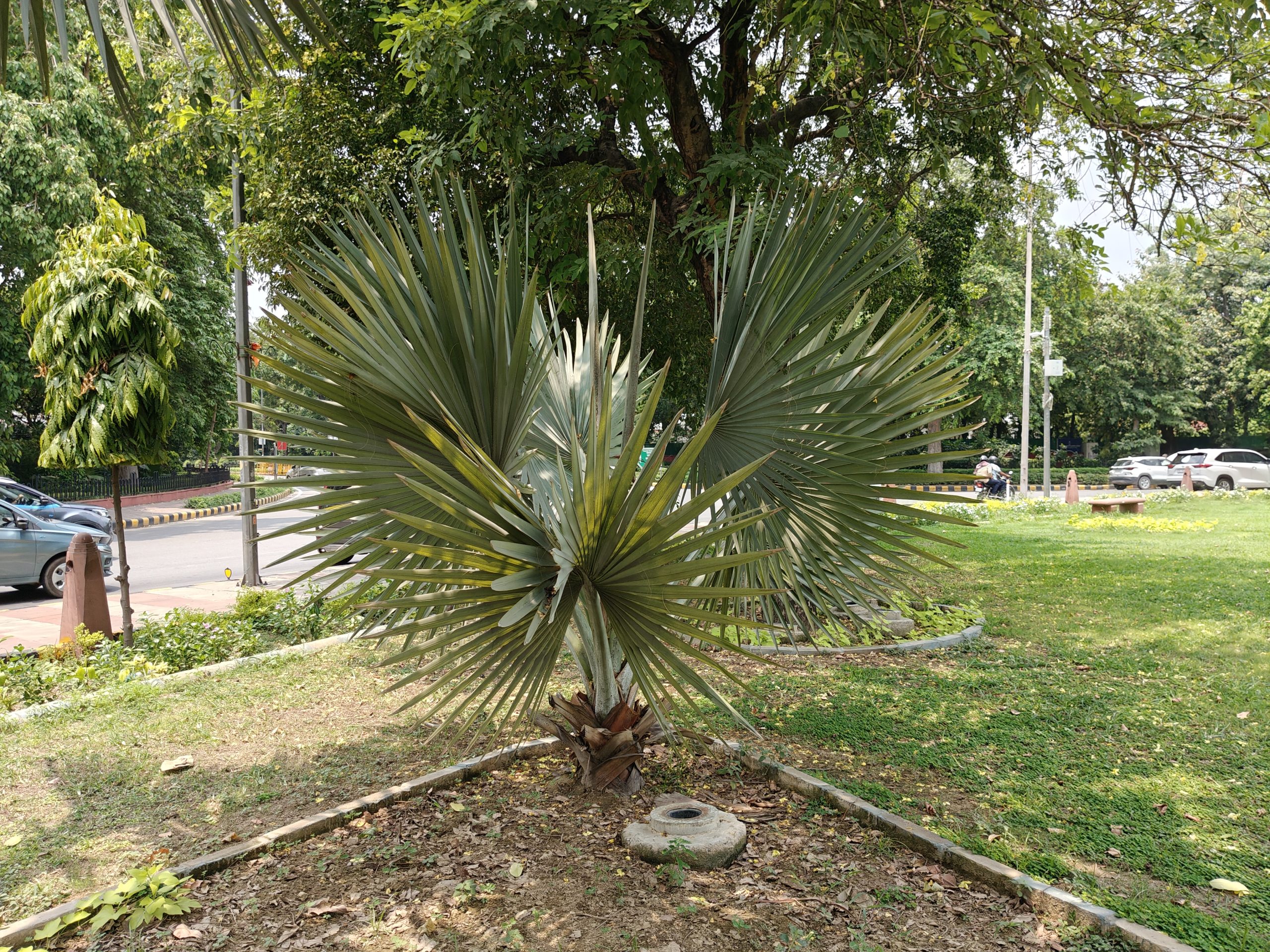 IMG20231231214256