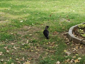 IMG20231231214542