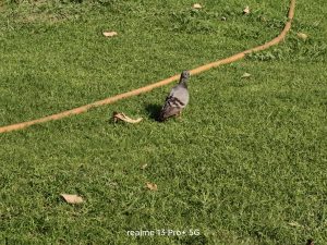 IMG20240716164801