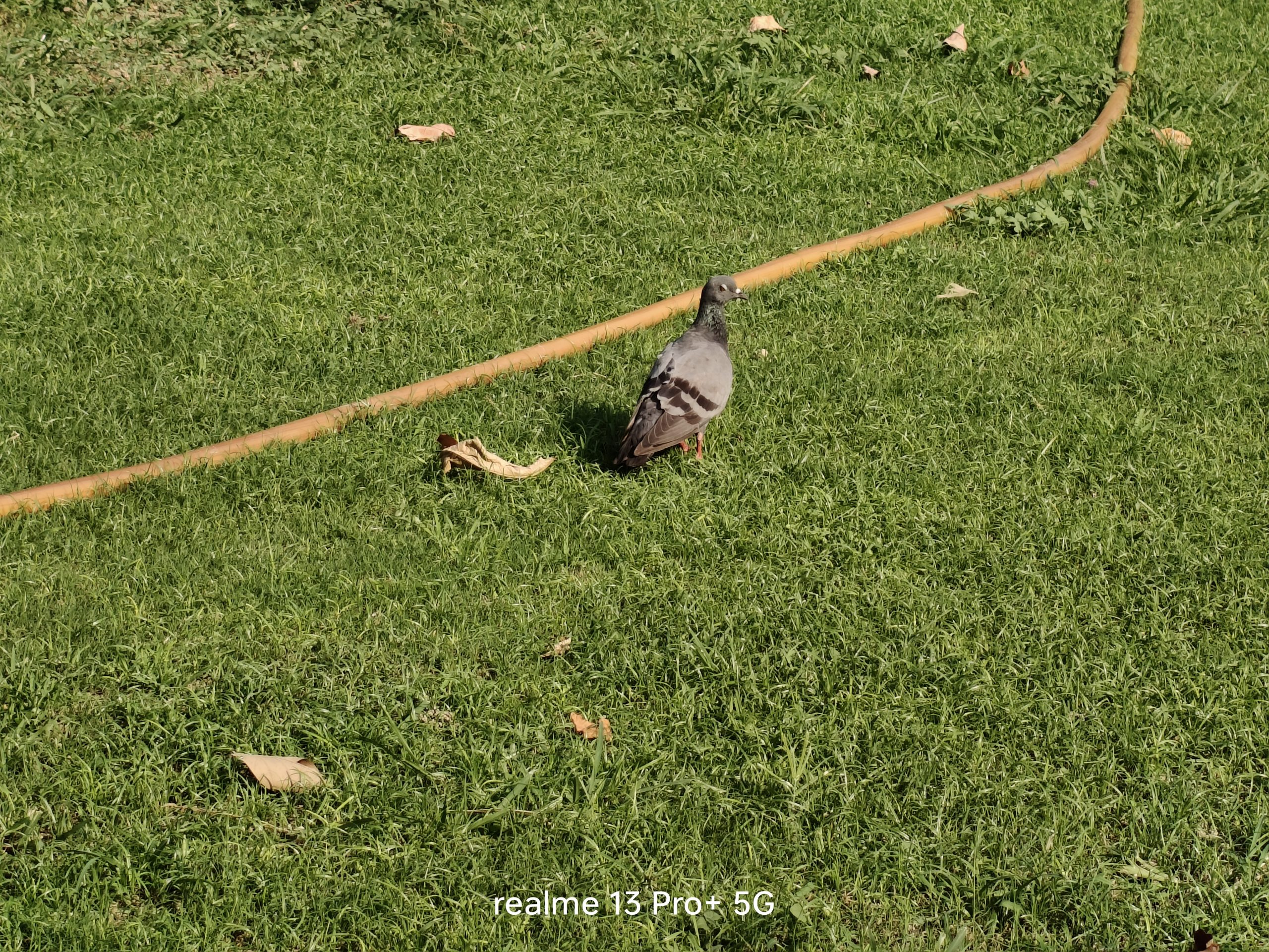 IMG20240716164801