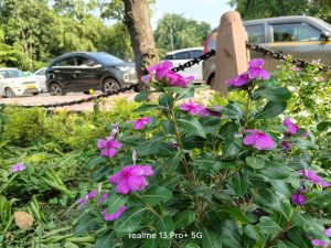 IMG20240716164826