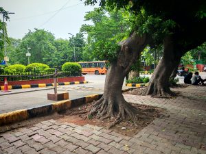 IMG_20240718_122645