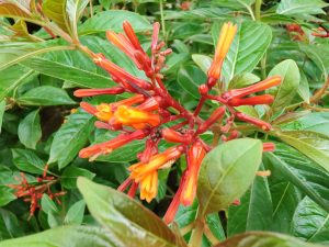 IMG_20240718_122731