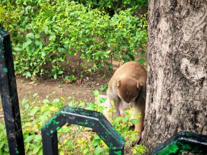 IMG_20240718_123314