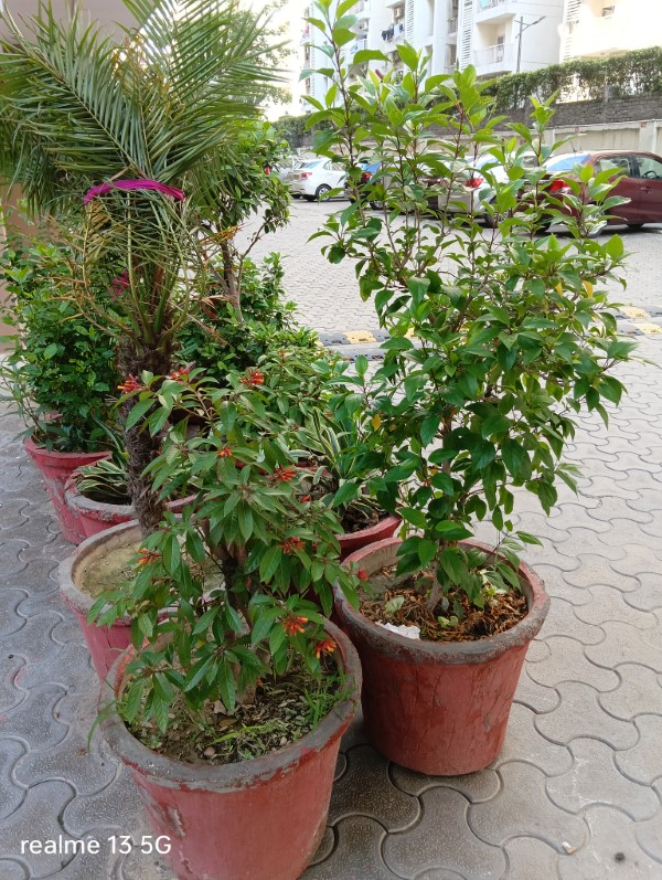 IMG20240101014456