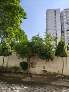 IMG20240101014634