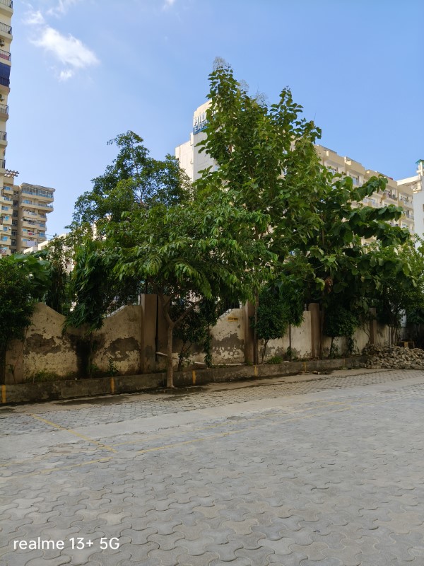IMG20240101021556