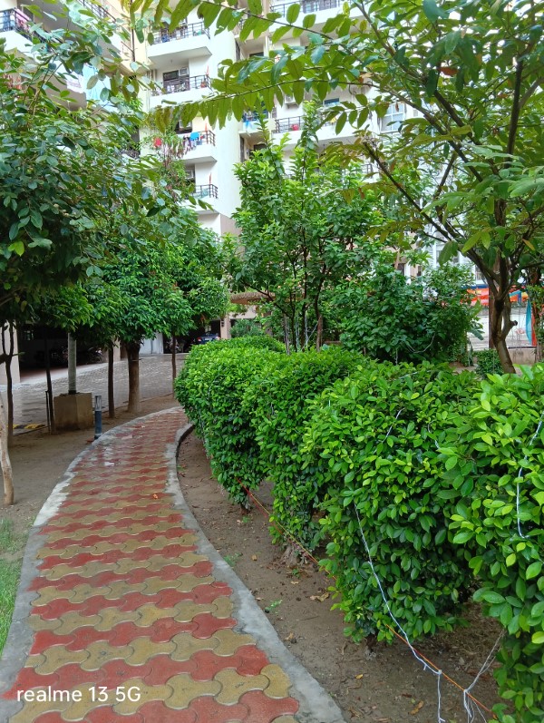 IMG20240103024604