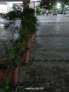 IMG20240811194228