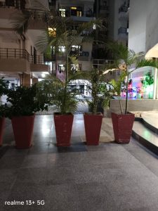 IMG20240828190408
