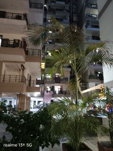 IMG20240828190425
