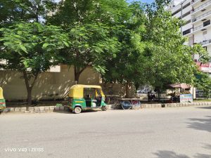 IMG_20240806_152819