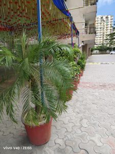 IMG_20240806_155113