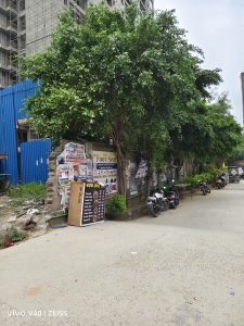 IMG_20240807_120846
