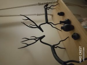 IMG_20240814_195814