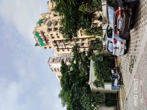 IMG_20240815_094344_HDR
