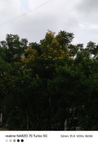 IMG20240910155054
