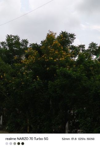 IMG20240910155054