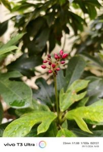 IMG_20240911_160509