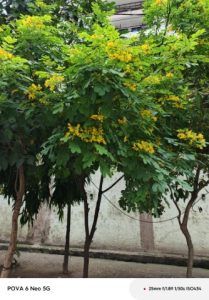 IMG_20240911_162532_002