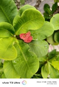 IMG_20240911_162614