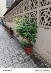 IMG_20240911_162649_875