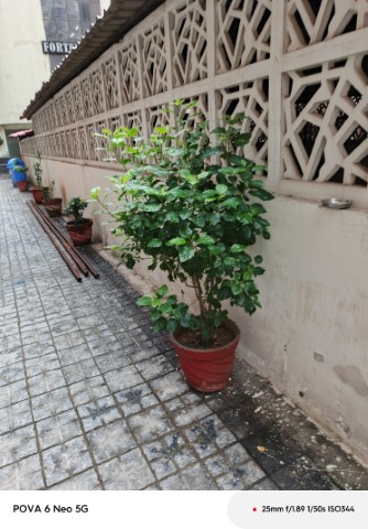 IMG_20240911_162649_875