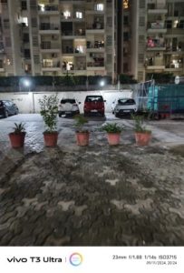 IMG_20240911_202412